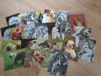 22 DDR Postkarten Hunde unbeschrieben Thüringen - Königsee Vorschau