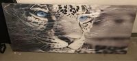 Wandbild Leopard/Jaguar Sachsen-Anhalt - Halle Vorschau