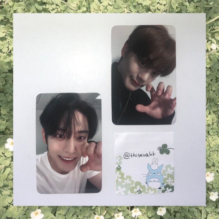 WTT ZB1 Melting Point Jiwoong Gyuvin Apple Music POB photocard pc in Castrop-Rauxel