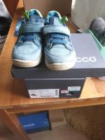 Ecco Sneakers Wildleder 28 Mecklenburg-Vorpommern - Greifswald Vorschau