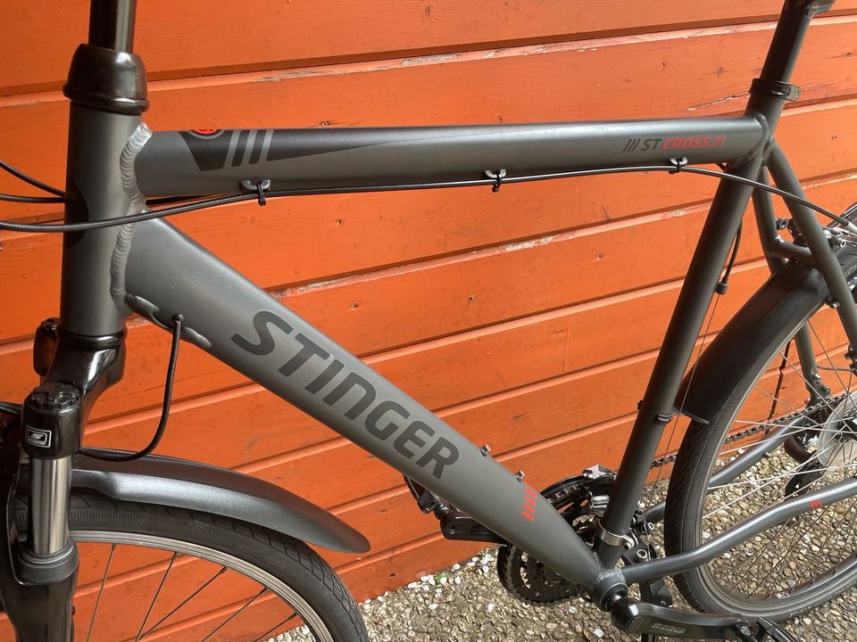 28 Zoll Stinger Cross/Trekking Fahrrad 21gang Nabendynamo RH56cm in Hamburg