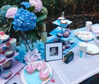 Gender Reveal Partydekorationen set Baden-Württemberg - Heidelberg Vorschau