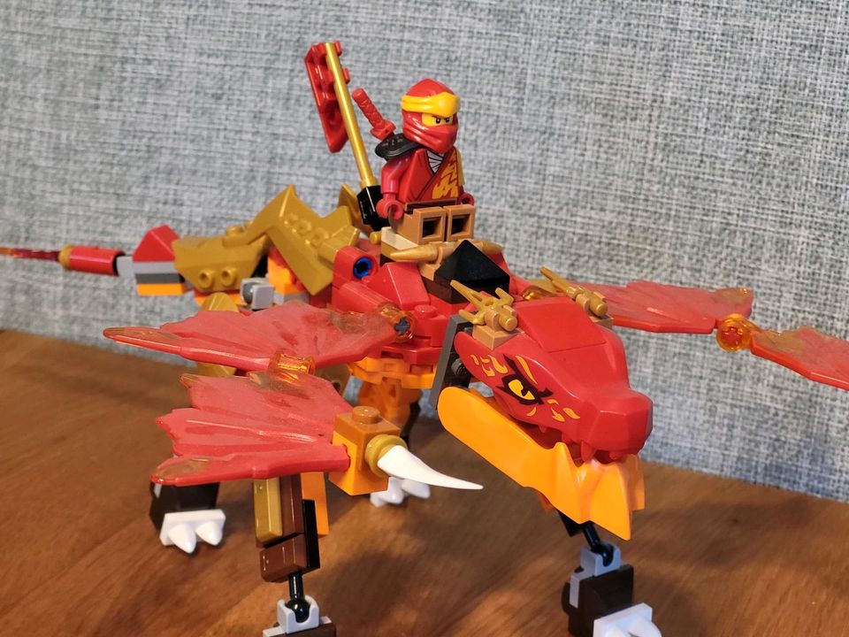 Lego Ninjago in Radeberg