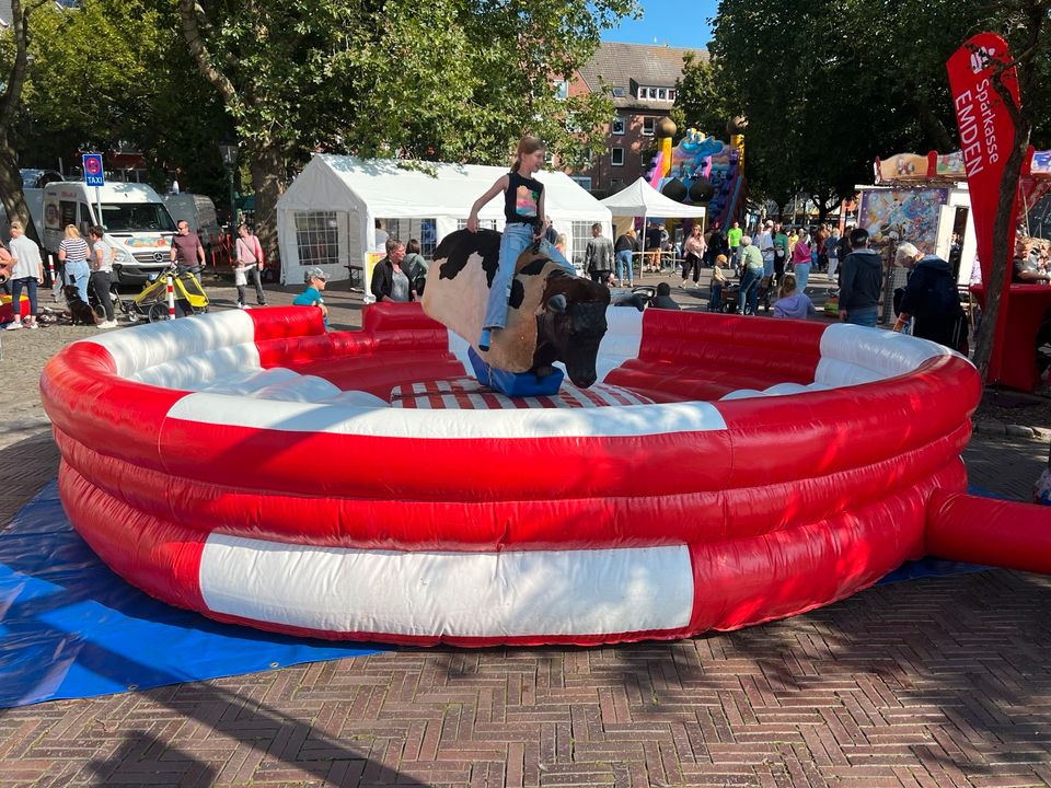 mechanischer Bulle, elektrischer Bulle, Bullriding mieten in Rhauderfehn