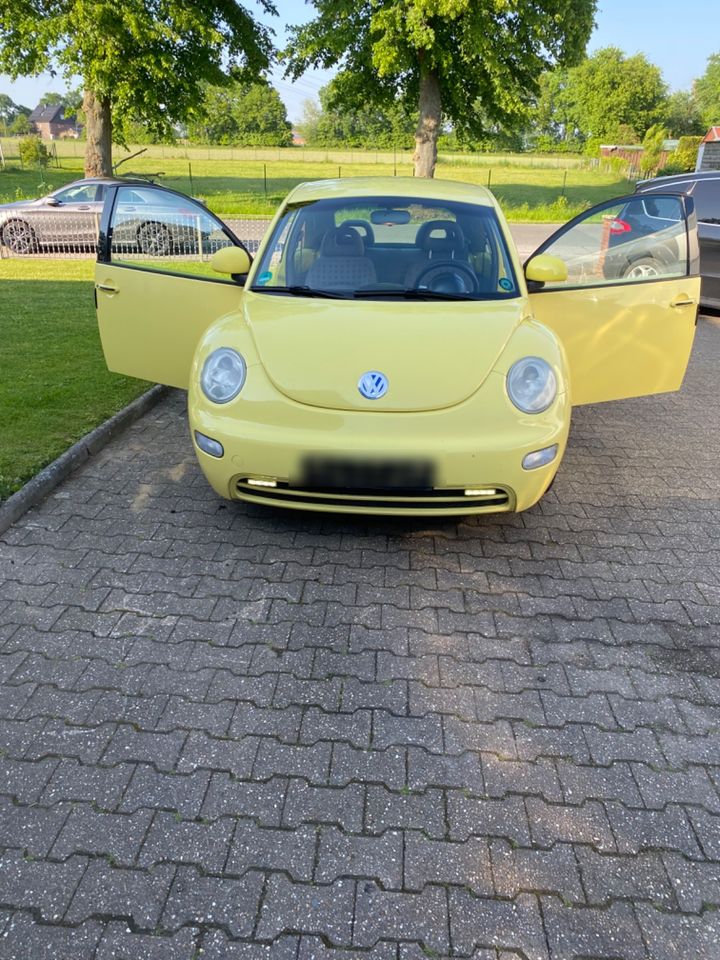 VW New Beetle in Hamm