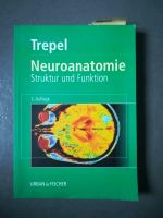 Medizin-/Zahnmedizinstudium Neuroanatomie Baden-Württemberg - Neuenbürg Vorschau