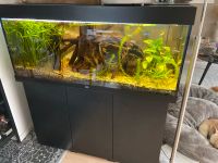 Aquarium 240 Liter Juwel BHT 120 x 129 (54) x 40 cm mit Zubehör Schleswig-Holstein - Hartenholm Vorschau