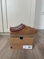 UGG Tazz Hausschuhe Nordrhein-Westfalen - Gelsenkirchen Vorschau