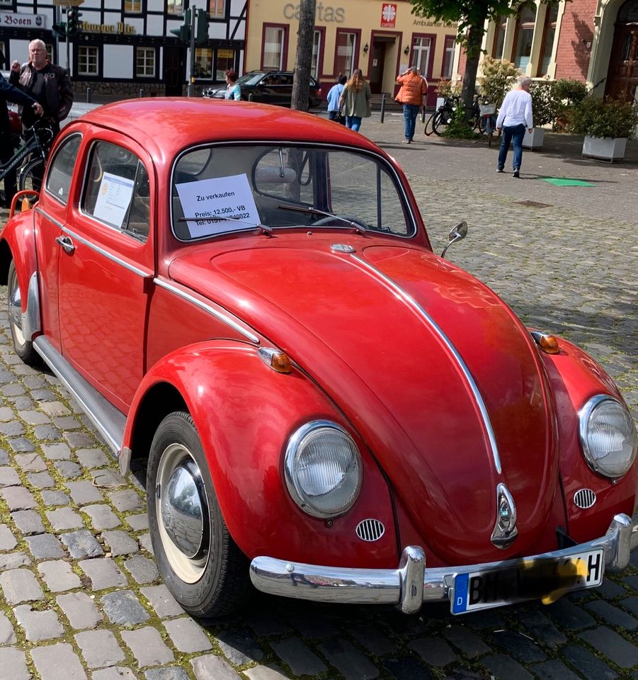 VW Käfer Dickholmer 1964 mit H-Zulassungen in Erftstadt