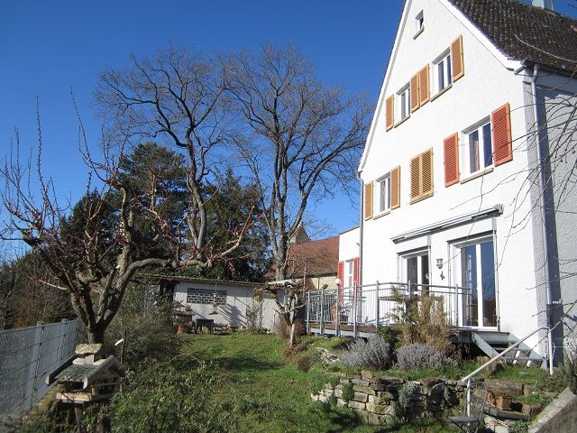 FREISTEHENDES EINFAMILIENHAUS MIT PANORAMABLICK ÜBER DIE STADT, NECKAR UND SCHLOSS in Gundelsheim