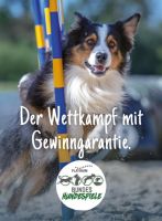 20 % Rabatt auf Tickets Bundeshundespiele 2024 - Du und dein Hund Niedersachsen - Vechta Vorschau