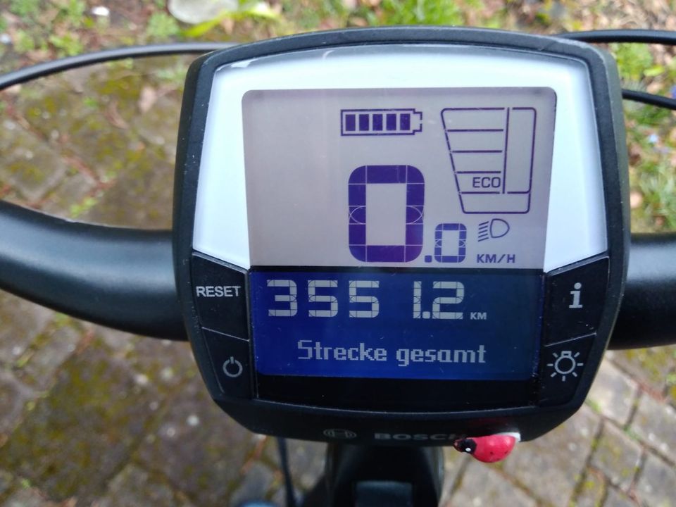 E-Bike Viktoria 6.3 in Neumünster