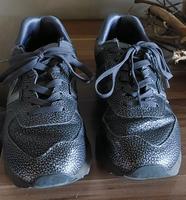 NEW BALANCE Damen, Gr 40 Saarland - Eppelborn Vorschau