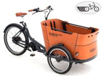 Curve Mountain Babboe  E Lastenrad Lastenfahrrad Elektro 4 Kinder Bayern - Erding Vorschau