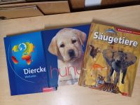 3 Kindersachbücher, Atlas, Hunde & Säugetiere Bayern - Neutraubling Vorschau