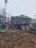 Buche Stammholz vorbestellen  Brennholz Feuerholz Kaminholz Niedersachsen - Bad Essen Vorschau