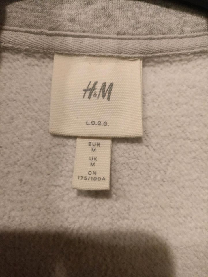 Herren-Sweatshirt! H & M! Neu! Gr. M! in Rosenheim