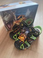 Sandalen Jurassic park mit LED ( Neu mit Etikett) Hessen - Korbach Vorschau