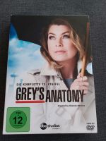 Greys Anatomy Staffel 12 Niedersachsen - Wilhelmshaven Vorschau