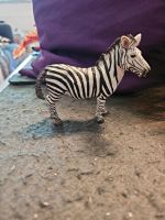 Schleich Zebra Nordrhein-Westfalen - Pulheim Vorschau