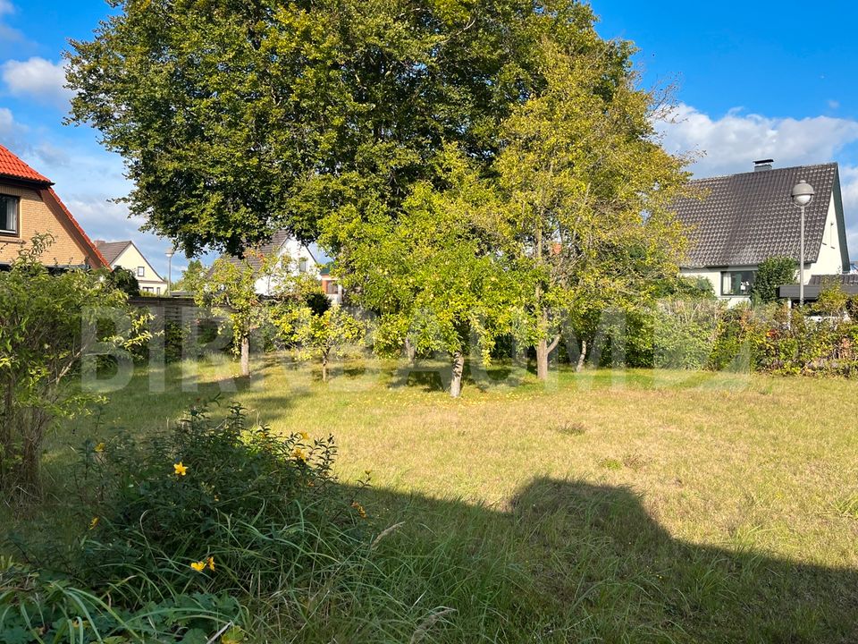 Herrliches Grundstück in gewachsener Ortslage von Neuenkirchen in Neuenkirchen bei Greifswald