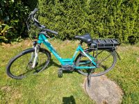 E Bike Pegasus Solero E8 Bayern - Heimenkirch Vorschau