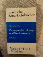 Zwangsvollstreckungs- und Konkursrecht, 19. Auflage Hessen - Künzell Vorschau