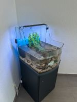 Sera aquarium komplett Nordrhein-Westfalen - Porta Westfalica Vorschau