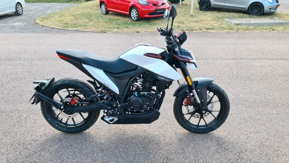 Malaguti Drakon 125ccm³ Nakedbike ähnliche KTM Duke B196/A1 NEU in Hettstedt