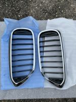 Original BMW 5er G30 G31 Niere Grill Nieren Gitter NEU Baden-Württemberg - Ludwigsburg Vorschau