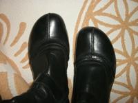 Caprice Stiefel**Schwarz echt Leder 38 Bayern - Wertingen Vorschau