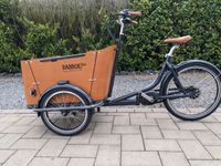 Vorführ-Rad Babboe Go Mountain (E-Lastenrad) Nordrhein-Westfalen - Lippstadt Vorschau