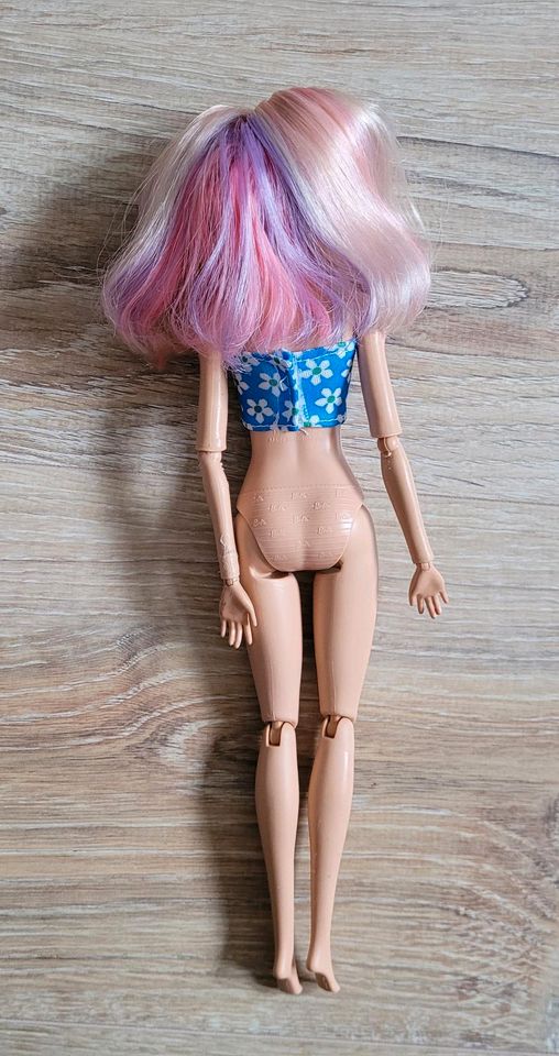 Barbie Puppe Zubehör Sets einzeln oder alles in Rümpel