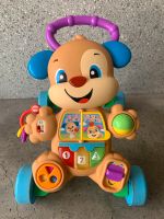 Fisher-Price  Baby Kleinkind Lernlaufhilfe Lernlauf Spielzeug S Nordrhein-Westfalen - Bottrop Vorschau