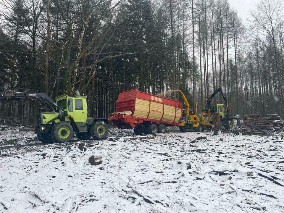 Holz häckseln/Käferholz entsorgung/Astwerk zerkleinerun in Hennef (Sieg)