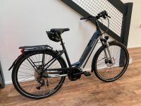 Pegasus EVO 10 Lite 750Wh / Bosch CX / alle Farben u.Größen / Baden-Württemberg - Vöhringen Vorschau