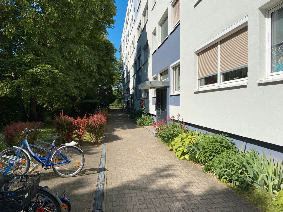 Moderne 3 Zimmer -Wohnung mit Balkon 321 meins in Worms