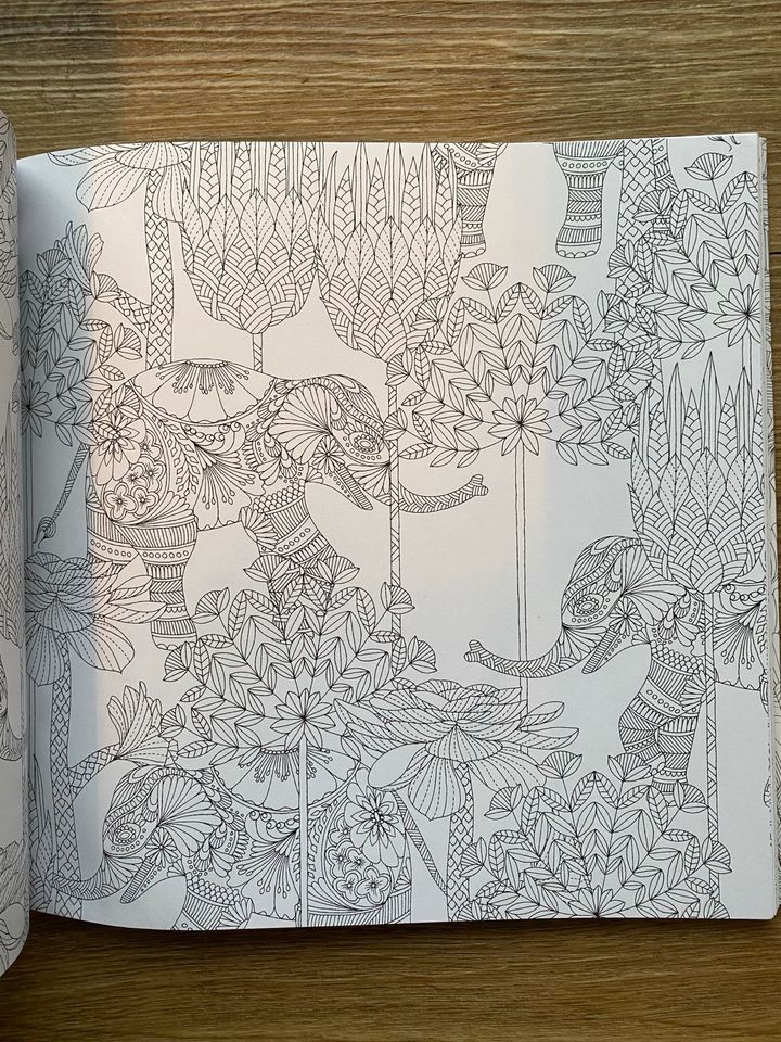 Mille Marottas Tropical Wonderland Erwachsenen Malbuch Mandala in Bleckede