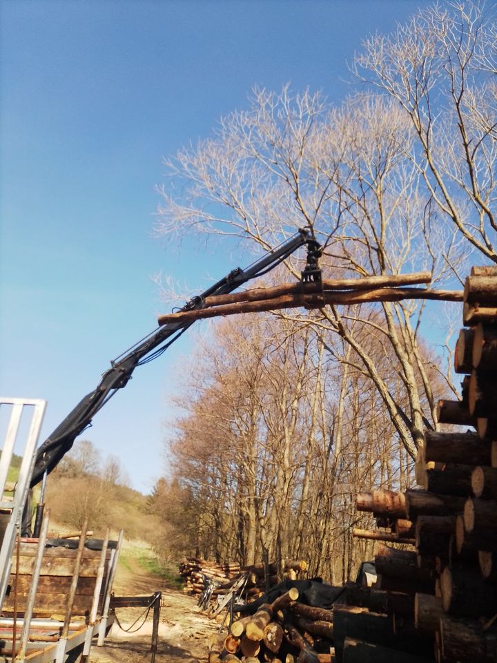 Stammholzverkauf und Holztransport inklusive Anlieferung in Sitzendorf