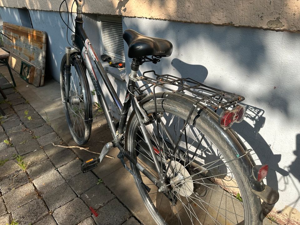 Pegasus Trekking Fahrrad in Braunschweig