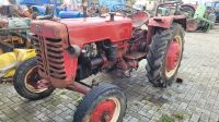 IHC 324 Oldtimer Traktor zum restaurieren mit Papieren Rheinland-Pfalz - Gondershausen Vorschau