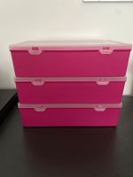 Set 3x Wham Sortierbox pink/fuchsia 29x19x8 cm Hessen - Reiskirchen Vorschau