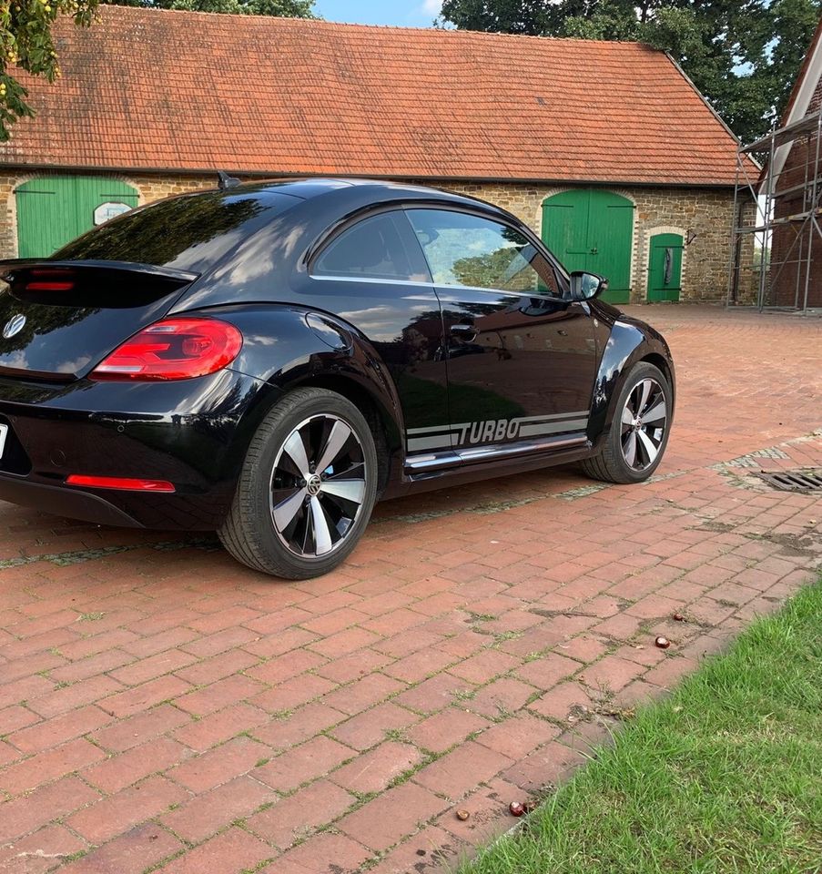 Top VW Beetle 1,4 TSI in Neuenkirchen - Merzen