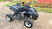 Shineray Spyder 250ccm Quad Tüv neu XXL Ludwigslust - Landkreis - Neustadt-Glewe Vorschau