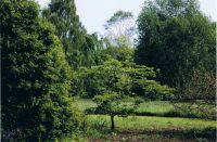 Fotografie auf Leinwand Arboretum Tornesch Kreis Pinneberg Kreis Pinneberg - Rellingen Vorschau