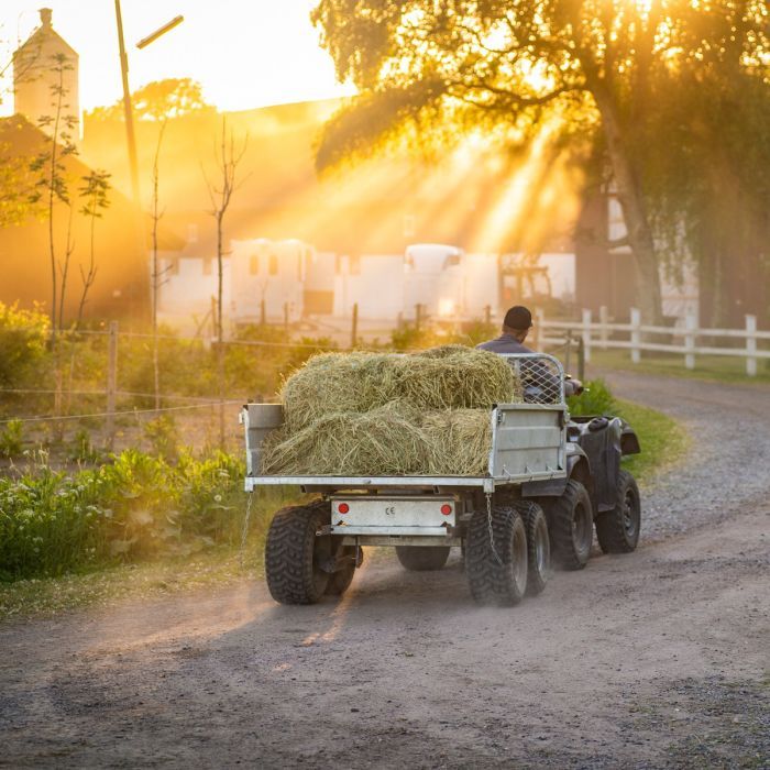 Anhänger PKW Quad Kippanhänger ATV 1,5 Tonnen Kleintraktor Iseki in Görlitz