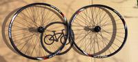 Cannondale C3 Laufradsatz 29 Zoll für 6 Loch Scheibenbremsen Top Hessen - Babenhausen Vorschau