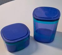 Tupperware Skyline Vorratsdosen 2 Stück blau Sachsen - Frankenberg (Sa.) Vorschau