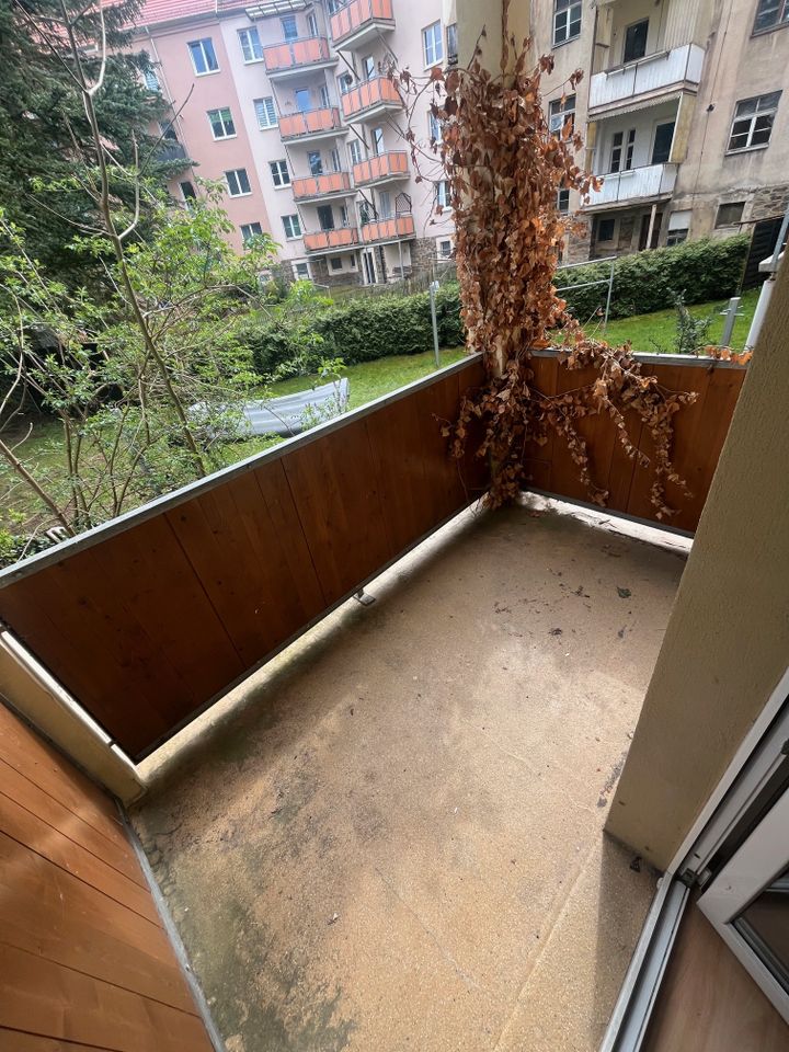 kleine und preiswerte 2 Raumwohnung im Erdgeschoß mit Balkon und Gartennutzung zu vermieten in Freiberg in Freiberg