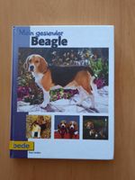 Mein gesunder Beagle Sachsen-Anhalt - Wolfen Vorschau